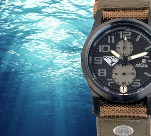 WACTH CASE